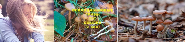 МДМА Бородино