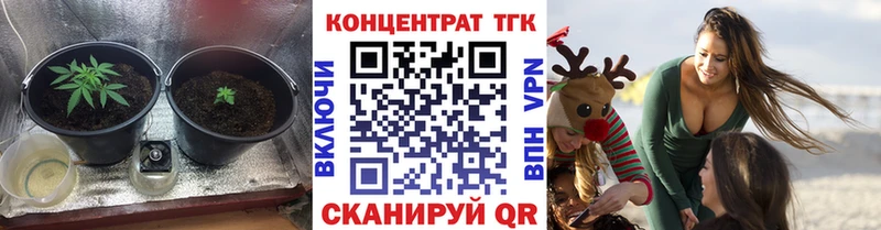 блэк спрут рабочий сайт  Грайворон  Дистиллят ТГК гашишное масло 