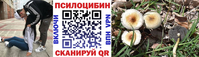 даркнет состав  Грайворон  blacksprut рабочий сайт  Псилоцибиновые грибы Cubensis  что такое  
